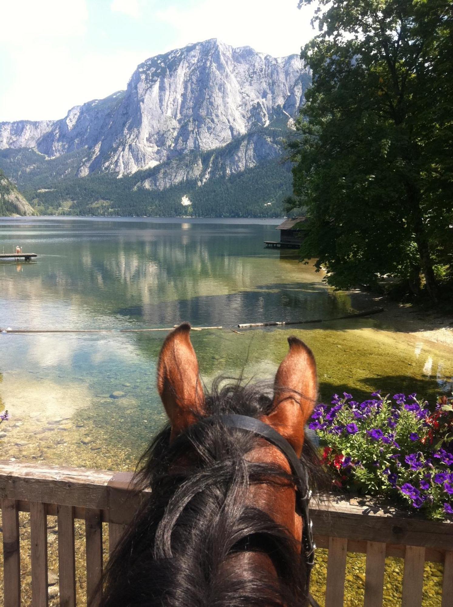 Reitbauernhof Schartner Hotel Altaussee Exterior foto