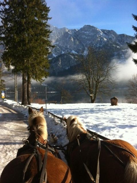 Reitbauernhof Schartner Hotel Altaussee Exterior foto