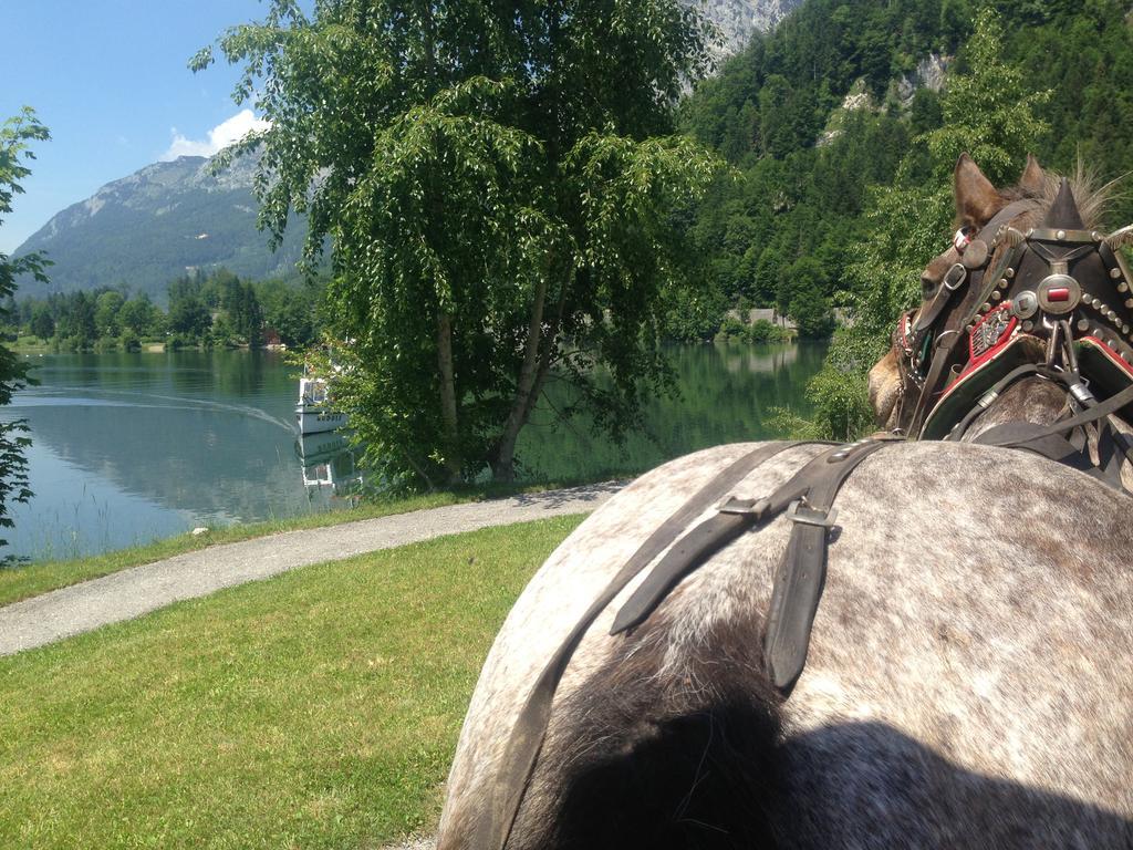 Reitbauernhof Schartner Hotel Altaussee Exterior foto